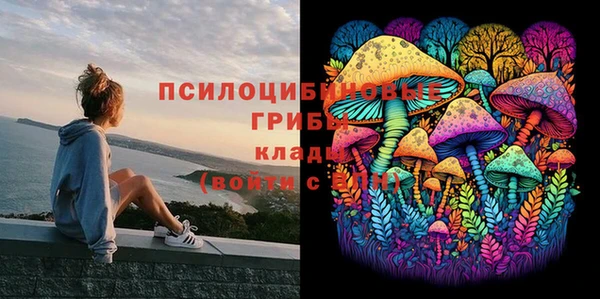 mdma Новодвинск