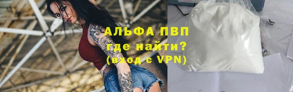 Альфа ПВП Новозыбков