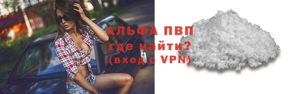 Альфа ПВП Новозыбков
