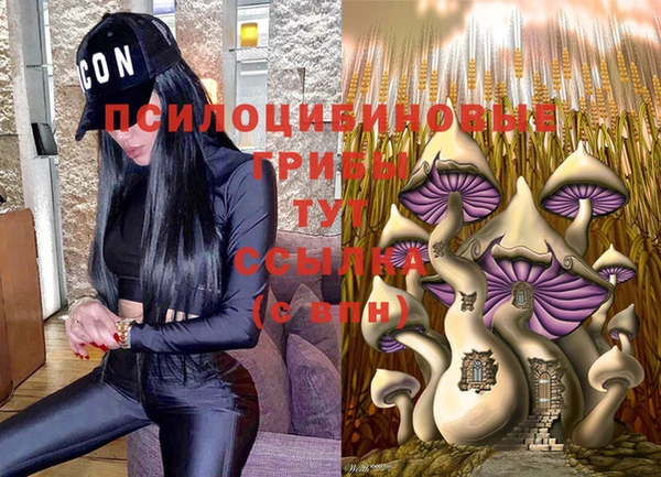 прущая мука Новокубанск