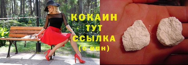 Альфа ПВП Новозыбков