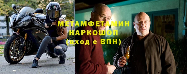 индика Богданович