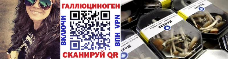 Псилоцибиновые грибы ЛСД Злынка