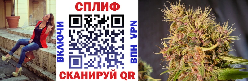 Бошки марихуана сатива  Злынка 